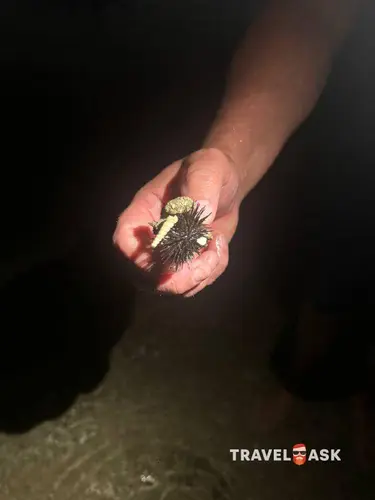 Rixos The Palm Dubai Hotel & Suites