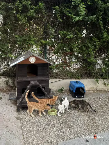 Adalya Artside (Ex. Grand Hotel Art Side)