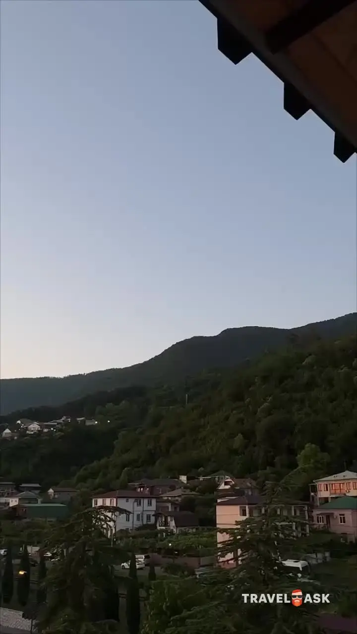 Отель Олива