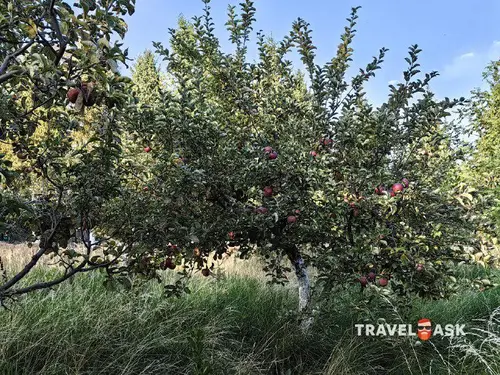 Госрезиденция №2