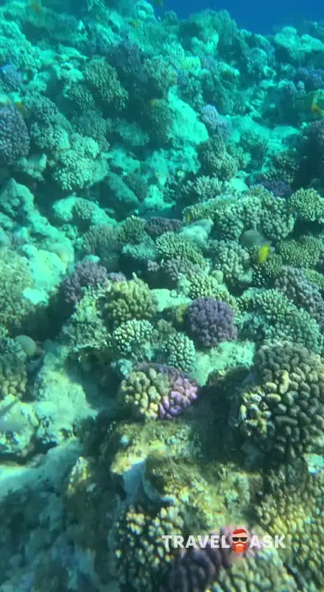 Jaz Royal Palmariva (Ex. Labranda Royal Makadi)