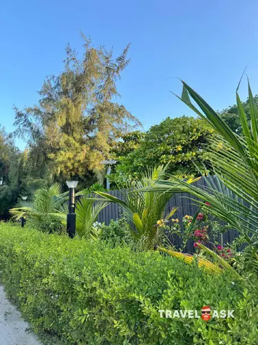 Brennia Kottefaru Maldives