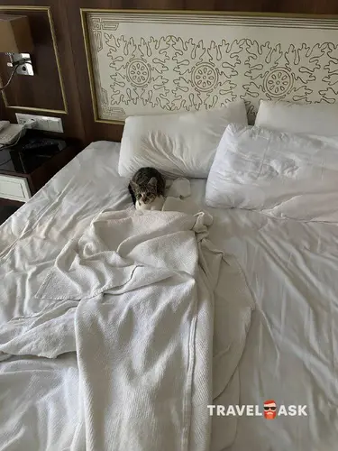 Crystal Paraiso Aqua Collection