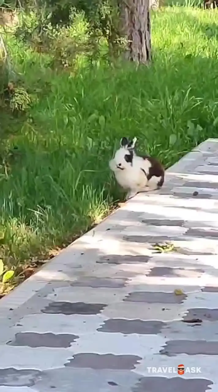 Госрезиденция №2