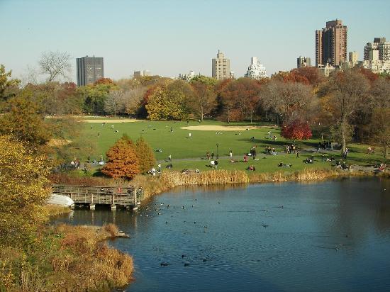 Центральный парк