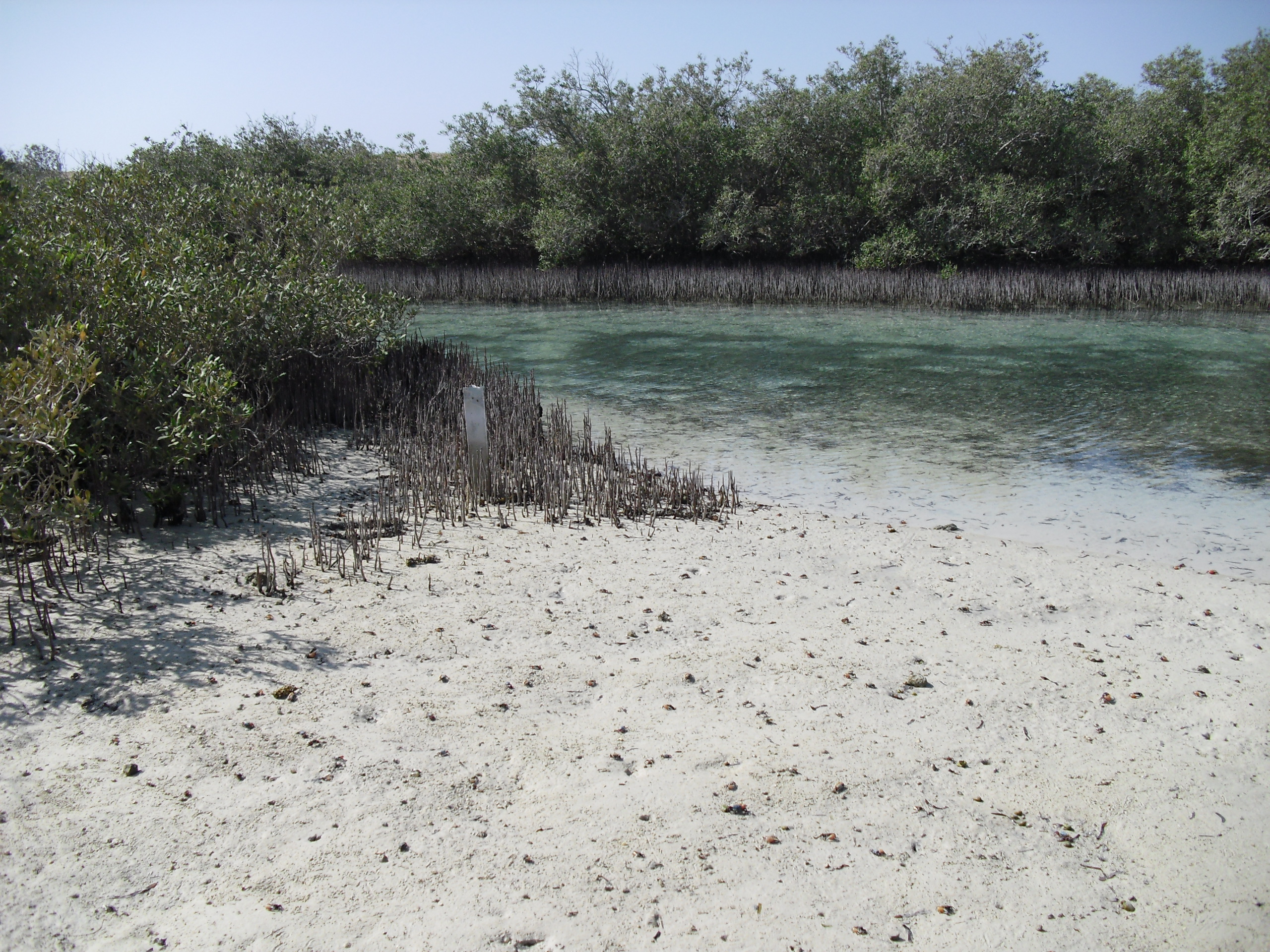 Национальный парк Рас-Мохаммед