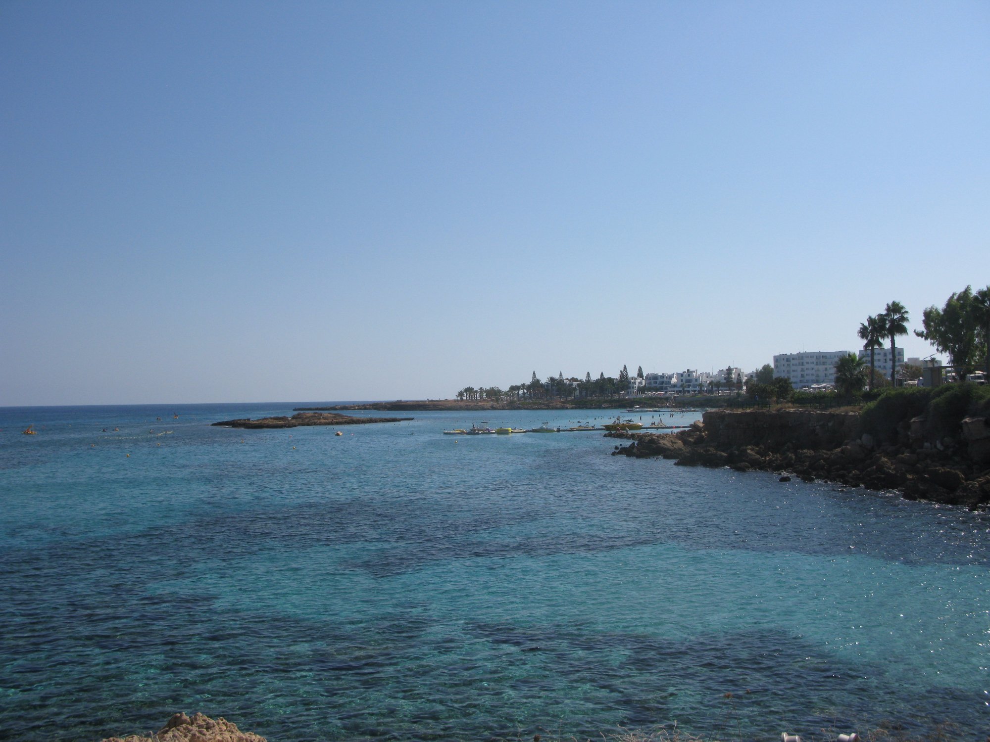 Залив Фигового дерева