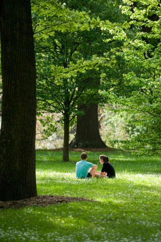 Ботанические сады Крайстчерча