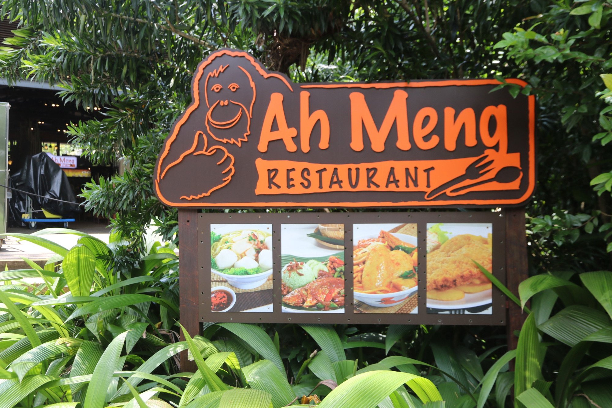 Сингапурский зоопарк