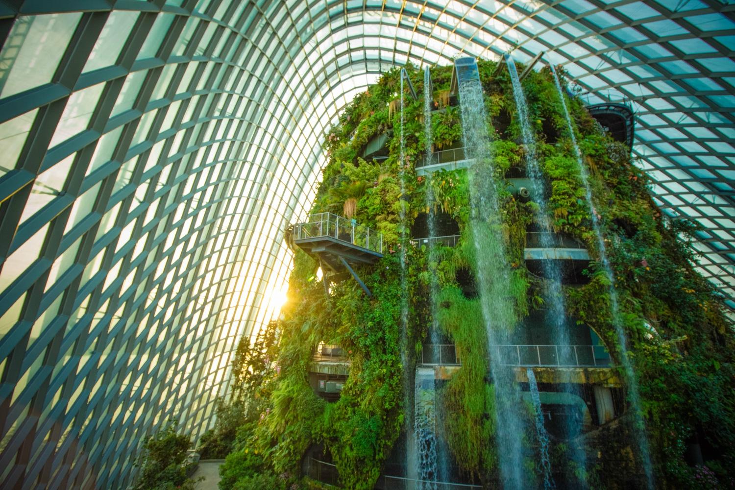 Ботанический сад «Облачный лес»