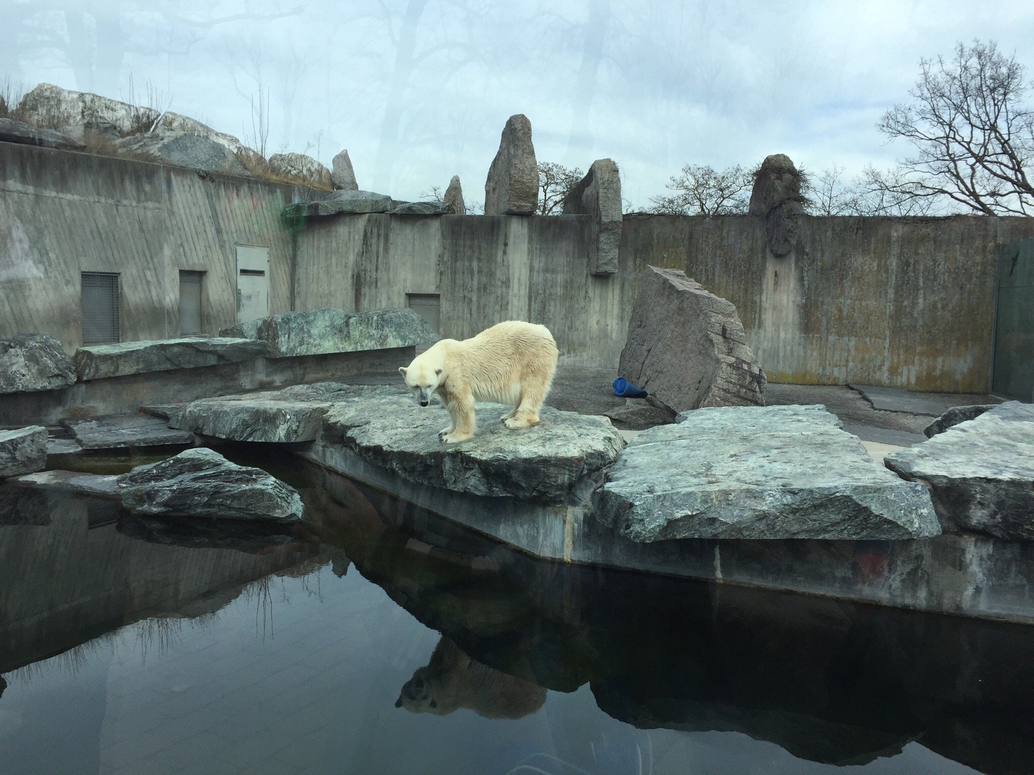 Зоопарк и ботанический сад "Вильгельма"
