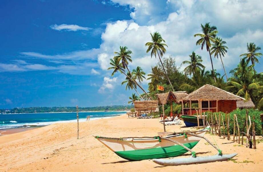 С 4 ноября увеличится число рейсов из Москвы в Коломбо С 4 ноября увеличится число рейсов из Москвы в Коломбо