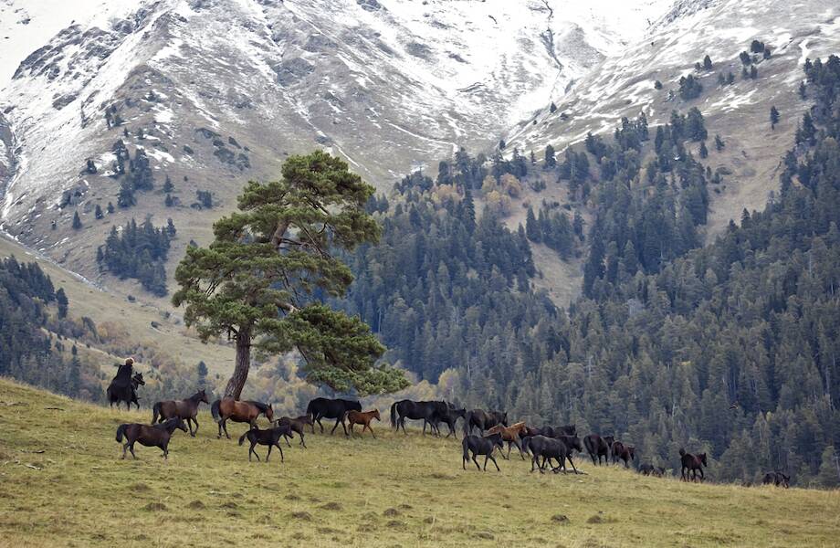 Новая экотропа открылась на курорте «Архыз» Новая экотропа открылась на курорте «Архыз»