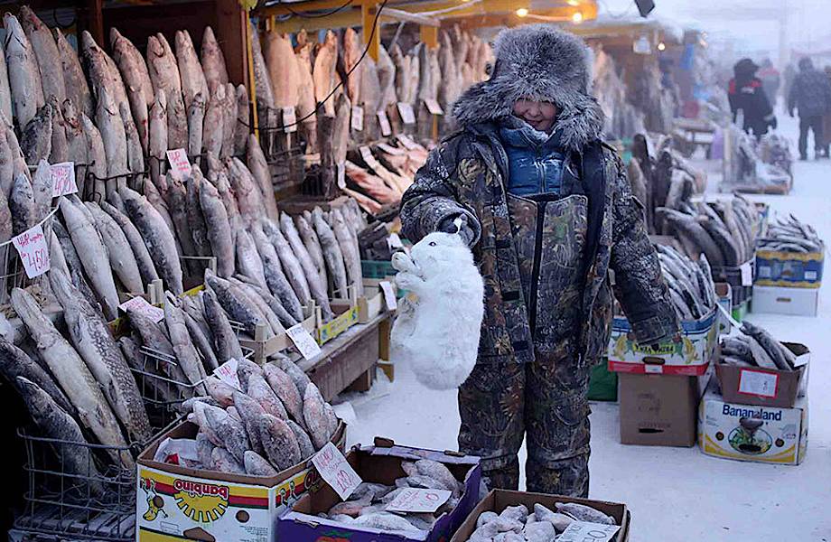 22 фотографии путешествия в Оймякон — самую холодную деревню на Земле 22 фотографии путешествия в Оймякон — самую холодную деревню на Земле