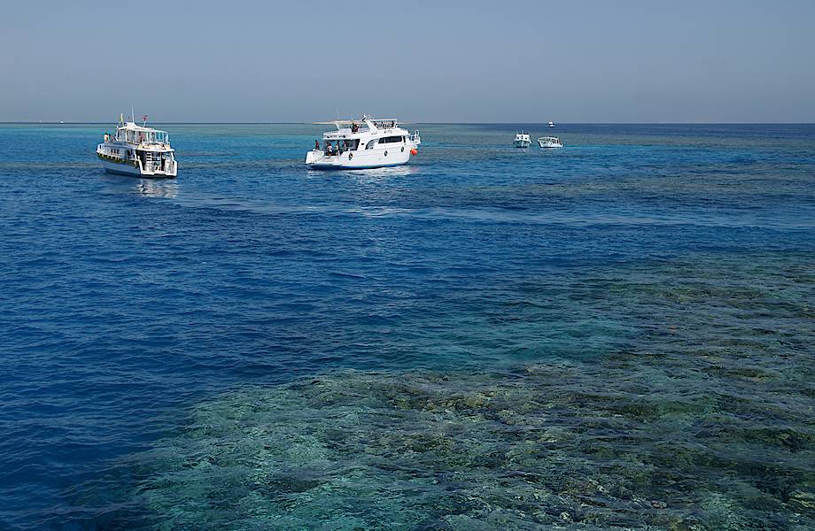 О самом теплом море в мире О самом теплом море в мире