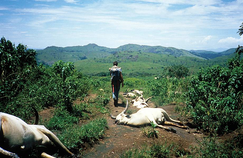 Самое опасное озеро в мире: узнайте, почему его называют озером-убийцей Самое опасное озеро в мире: узнайте, почему его называют озером-убийцей