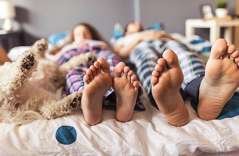 Каток или Питер? Каток или Питер?