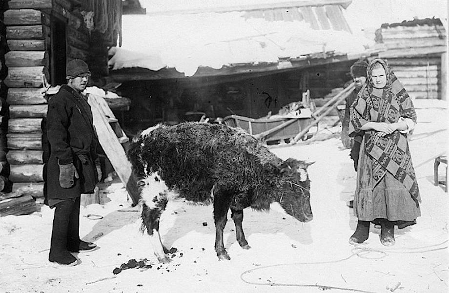 Как жили российские крестьяне в Сибири в конце 19 века Как жили российские крестьяне в Сибири в конце 19 века