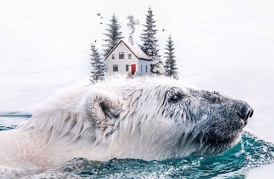 Художница вводит необычные элементы в чудесные сюрреалистические снимки природы Художница вводит необычные элементы в чудесные сюрреалистические снимки природы