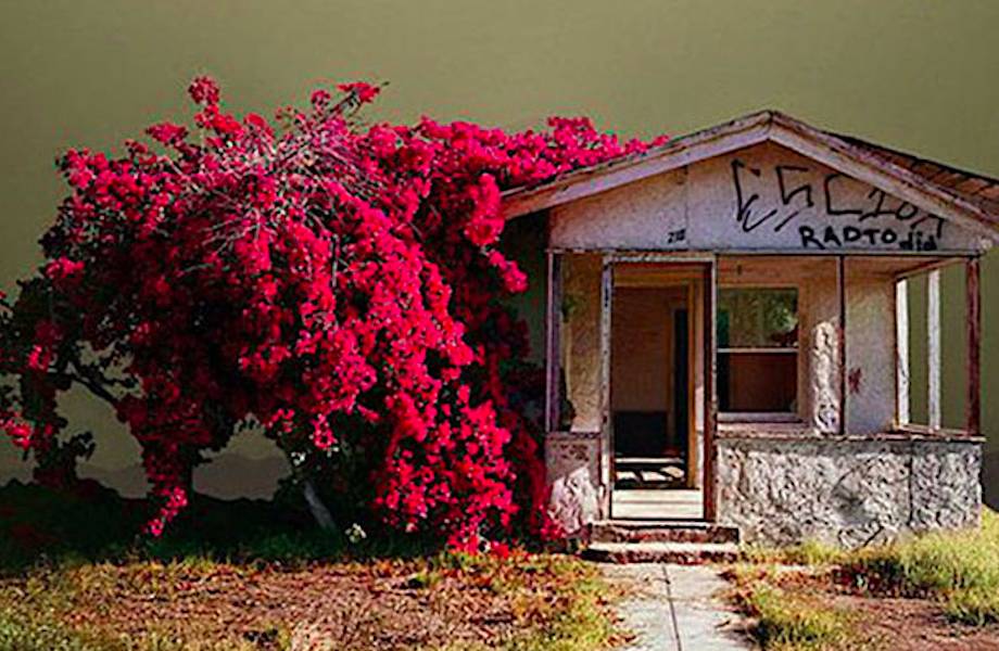 Одинокая Калифорния: фотограф снимает забытые уголки солнечного штата Одинокая Калифорния: фотограф снимает забытые уголки солнечного штата