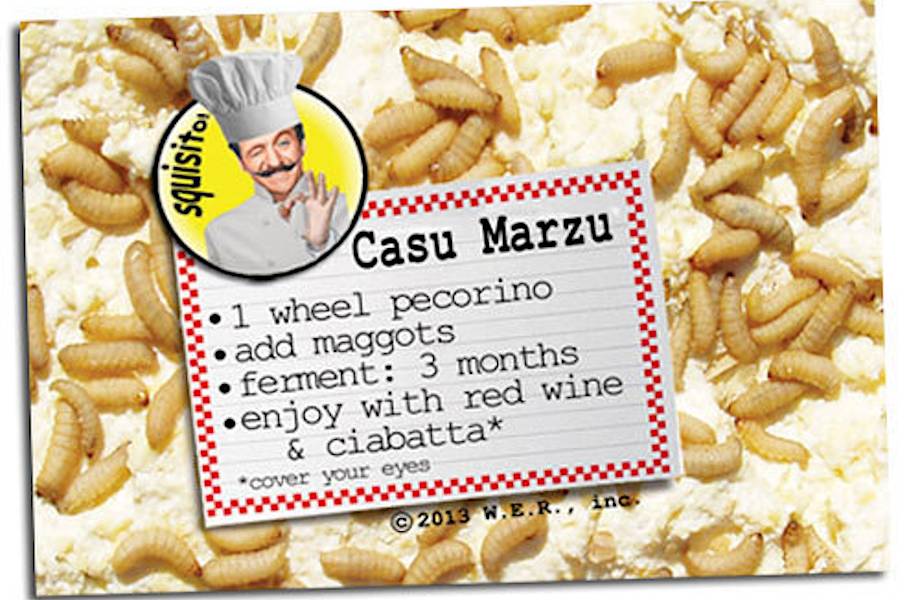 Сыр с живыми личинками внутри: странные кулинарные традиции  жителей Сардинии