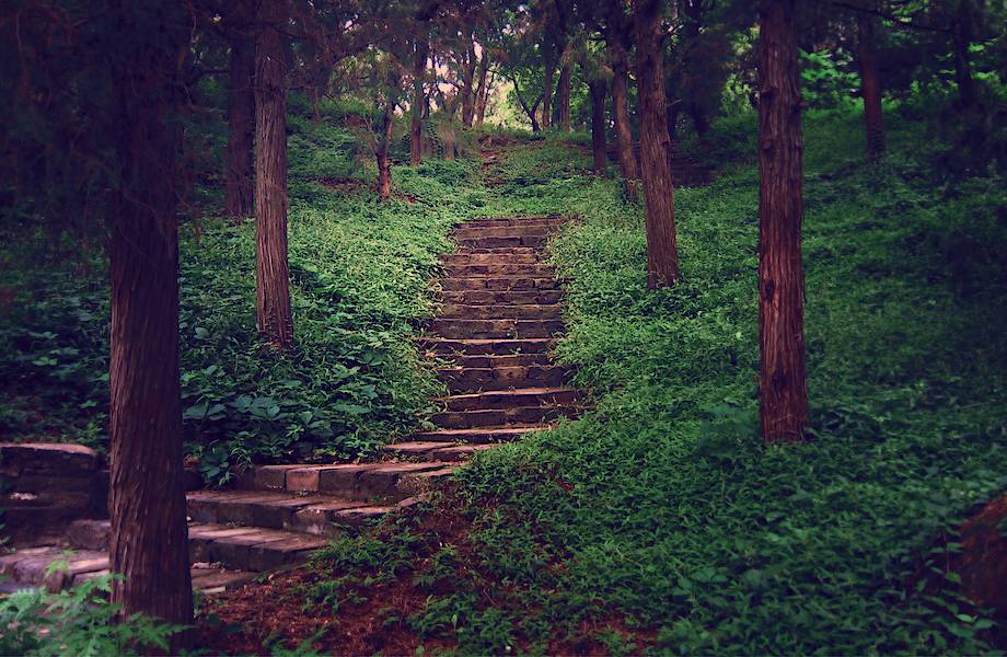 Таинственные лестницы, которые никуда не ведут Таинственные лестницы, которые никуда не ведут