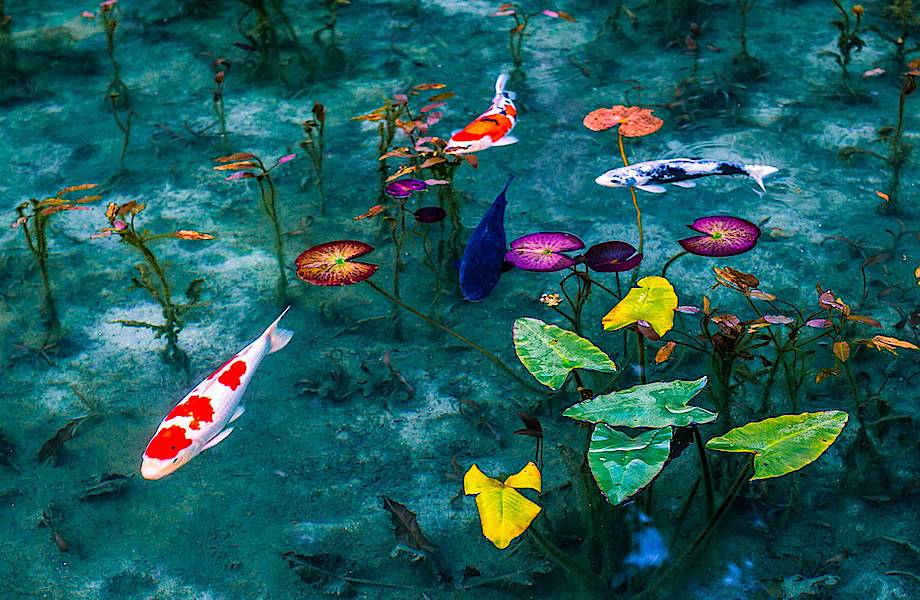 Потрясающие снимки, демонстрирующие красоту сезона дождей в Японии Потрясающие снимки, демонстрирующие красоту сезона дождей в Японии