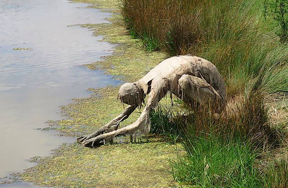 Вдохновленная природой: художница создает пугающие скульптуры из грязи Вдохновленная природой: художница создает пугающие скульптуры из грязи