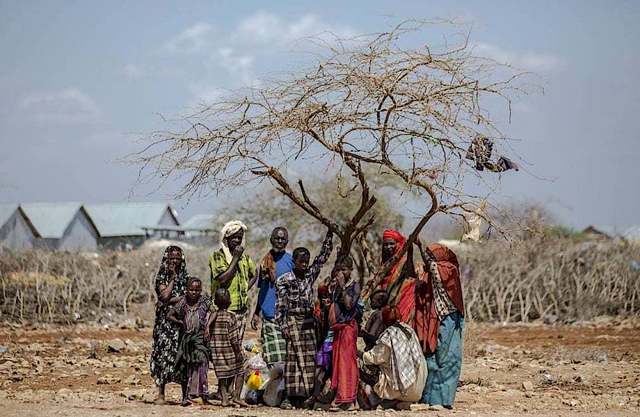 18 фото о том, как катастрофически изменился климат за последние пять лет 18 фото о том, как катастрофически изменился климат за последние пять лет