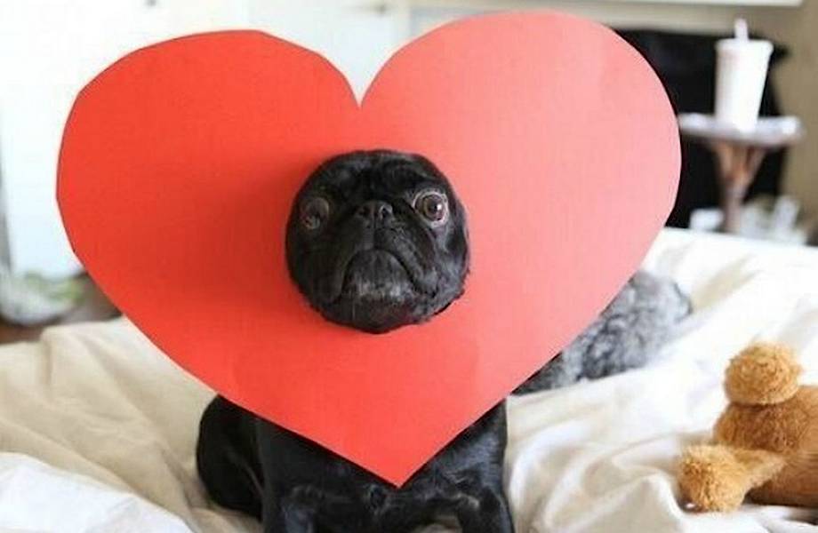 Причем здесь римские вакханалии, сколько лет валентинке и другие факты о 14 февраля Причем здесь римские вакханалии, сколько лет валентинке и другие факты о 14 февраля