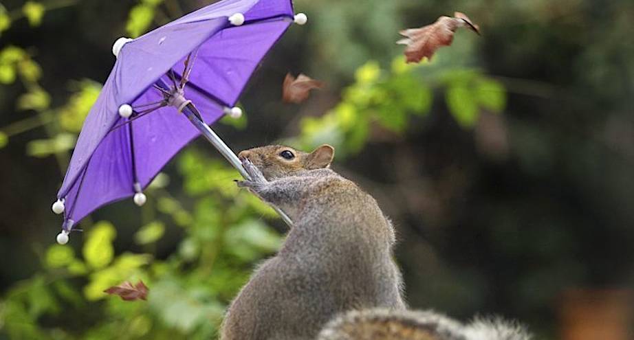 Фото дня: сражение с ветром