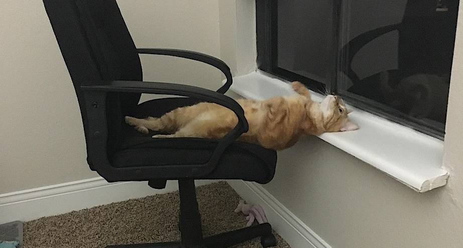 Фото дня: в ожидании выходных