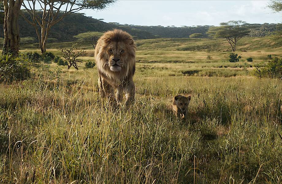 Живописные локации из «Короля Льва», которые существуют в реальности Живописные локации из «Короля Льва», которые существуют в реальности