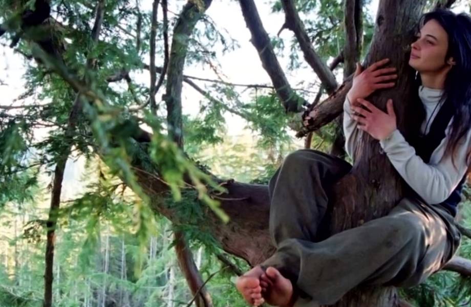 Видео: Девушка 2 года прожила на дереве, чтобы сберечь его Видео: Девушка 2 года прожила на дереве, чтобы сберечь его