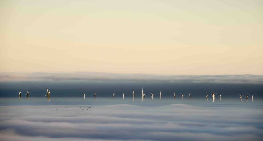 Фото дня: ветряная электростанция