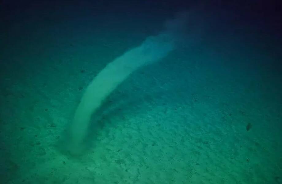 Видео: Ученые впервые засняли очень редкое явление на дне океана Видео: Ученые впервые засняли очень редкое явление на дне океана