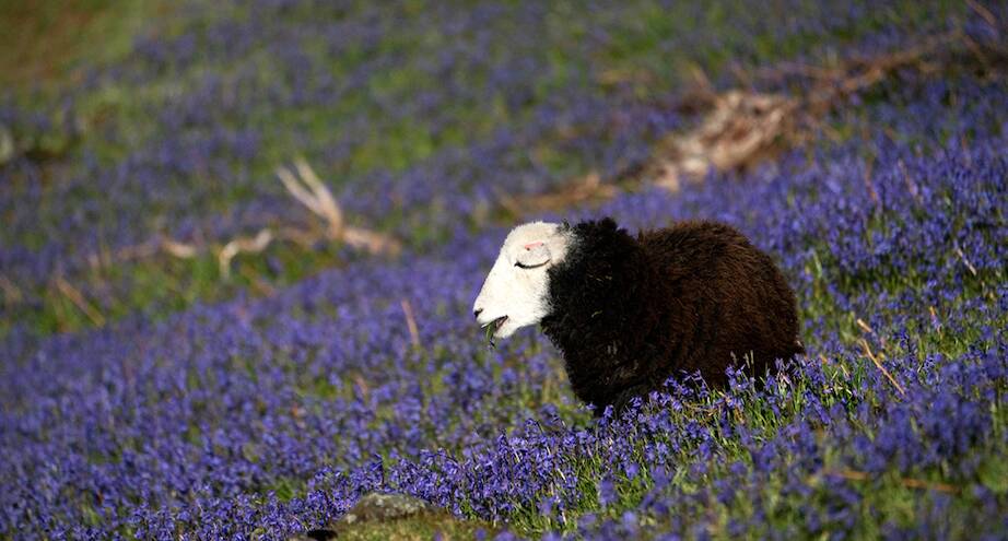 Фото дня: она самая — безмятежность