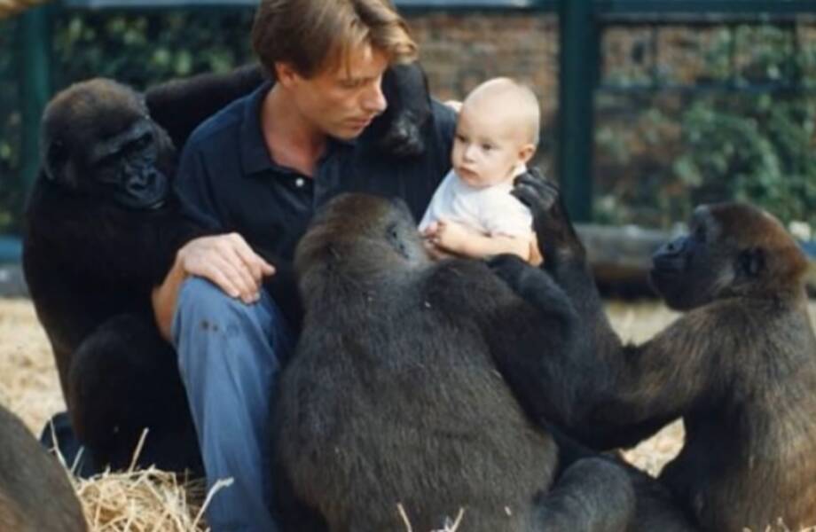 Самые невероятные и трогательные реакции животных, увидевших человека после разлуки Самые невероятные и трогательные реакции животных, увидевших человека после разлуки