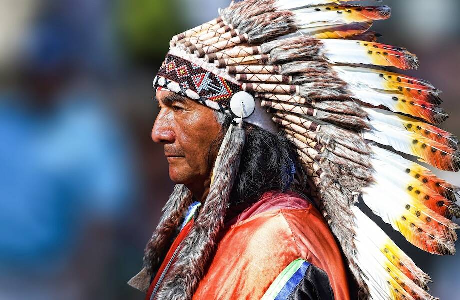 Почему индейцев всегда изображают без бороды и усов Почему индейцев всегда изображают без бороды и усов