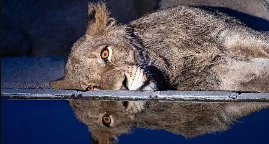 Фото дня: когда выдался плохой день