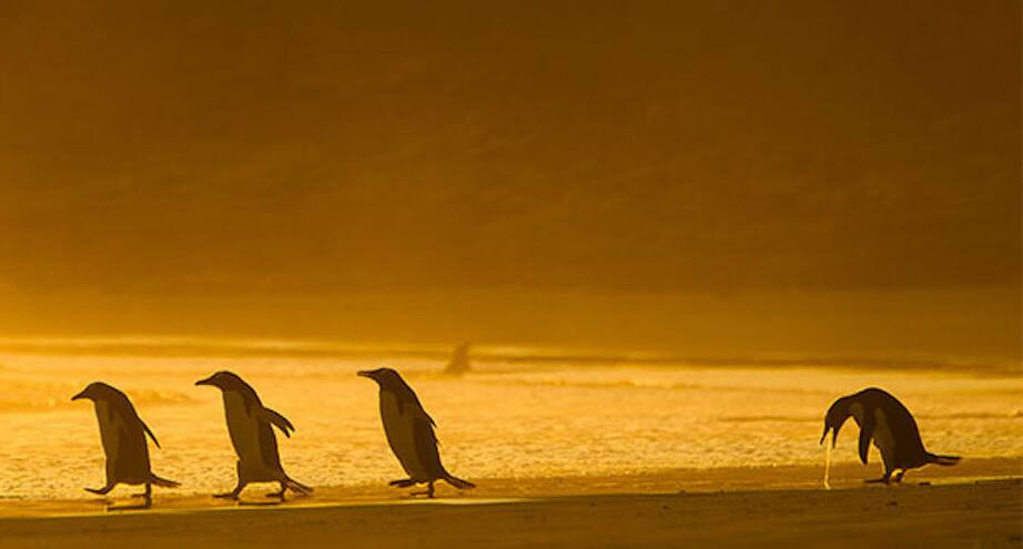 Фото дня: кто-то кутил до утра