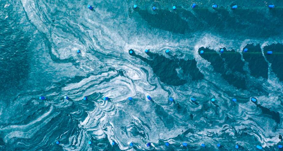 Фото дня: Мраморное море продолжает покрываться слизью