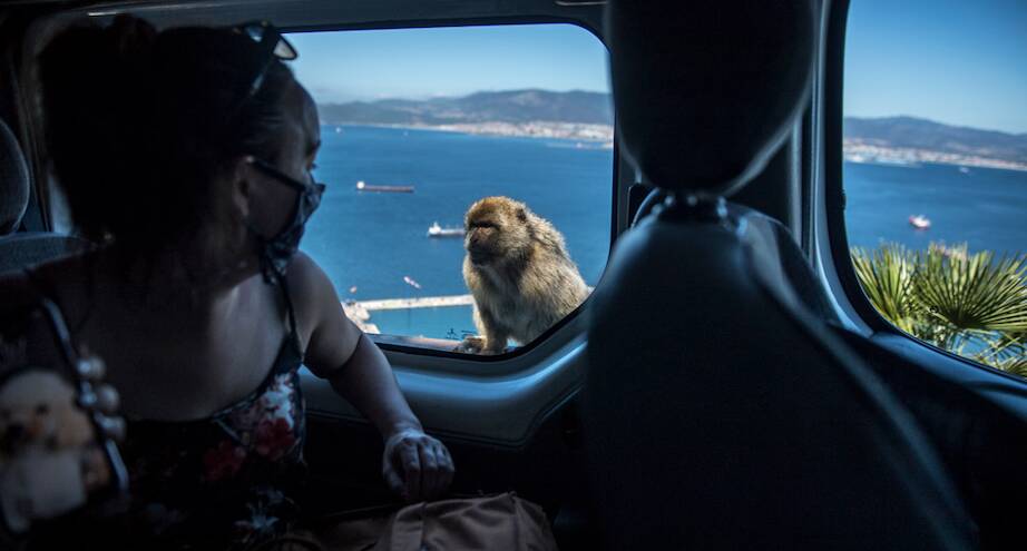 Фото дня: любопытство не знает границ