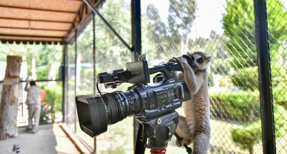 Фото дня: профессиональный оператор