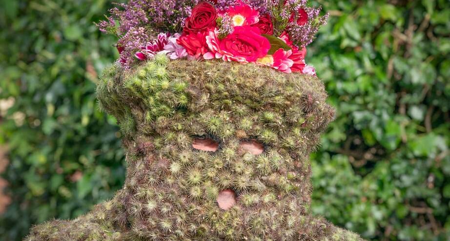 Фото дня: человек-репейник