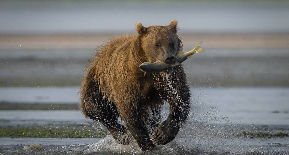 Фото дня: удачно порыбачил