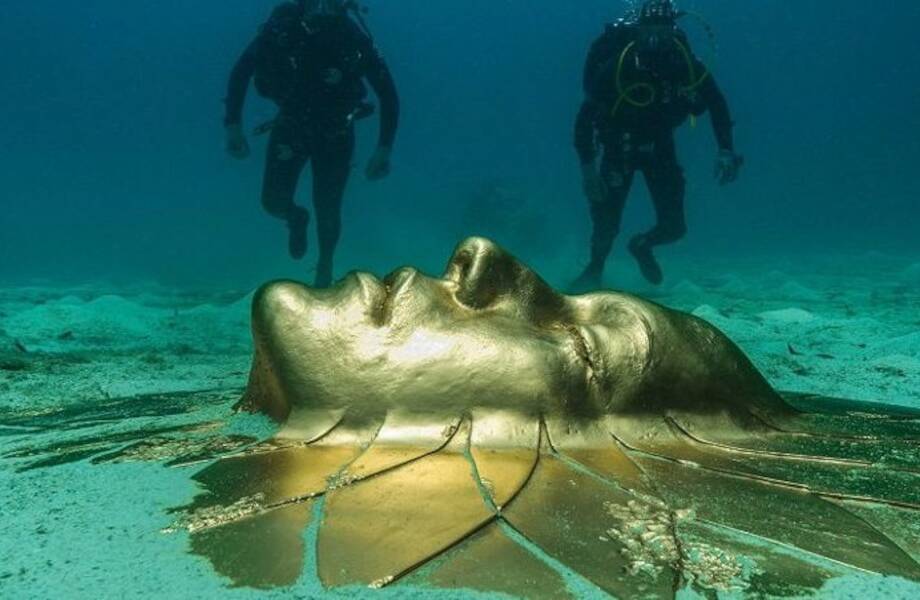 Видео: Какими стали самые шокирующие находки глубоководных дайверов Видео: Какими стали самые шокирующие находки глубоководных дайверов