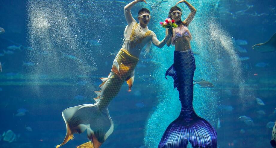 Фото дня: китайские дайверы в костюмах русалок