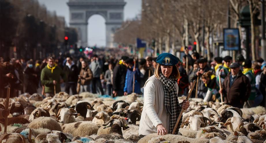 Фото дня: необычные посетители на Елисейских полях