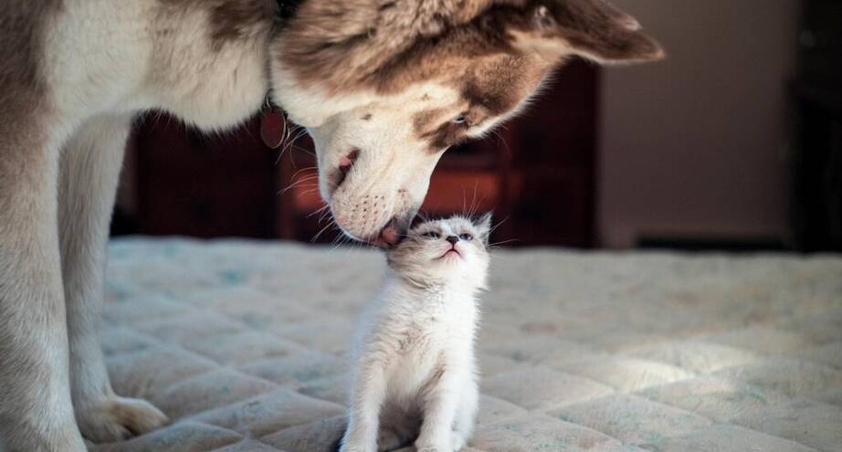 Фото дня: давай дружить